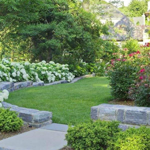 供甘肅武威園林綠化和張掖園林景觀